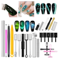 25 PCS NAIL ART CAT EYE DESING MAGNET SET #01